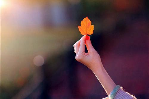 许初夏宋沉宴小说全文免费阅读 许初夏宋沉宴最新章节