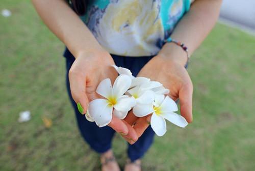 叶兰溪顾砚舟小说叫什么 叶兰溪顾砚舟小说全文免费阅读