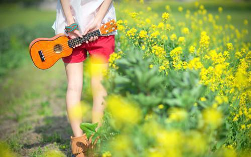 赵乐卿许淮州小说叫什么 赵乐卿许淮州小说全文免费阅读