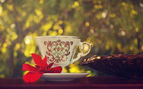 梁新柳如烟免费阅读小说 梁新柳如烟第1章