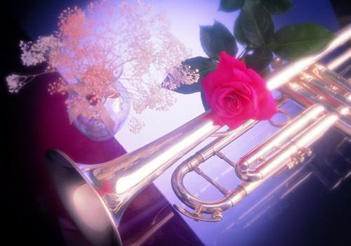 苏川无戒小说阅读 苏川无戒全文免费无广告