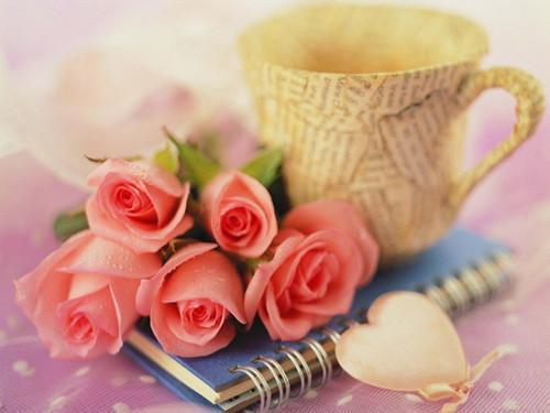 阮絮江酌小说在哪里看 阮絮江酌在线阅读第1章