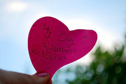 匠艺巅峰（陈迪免费阅读无弹窗）陈迪最新章节列表