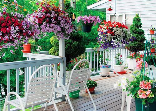 我生前是家里的透明人，死后所有人都在对我忏悔秀秀无弹窗全文免费阅读