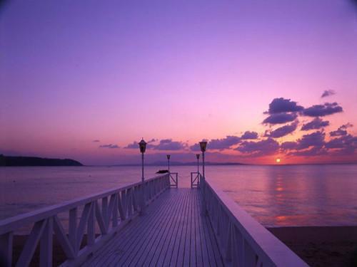 顾泽霆周叶小说全文阅读 顾泽霆周叶第二章