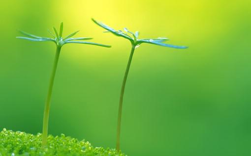 顾泽霆周叶小说名字 被自己老公关禁闭室后章节试读