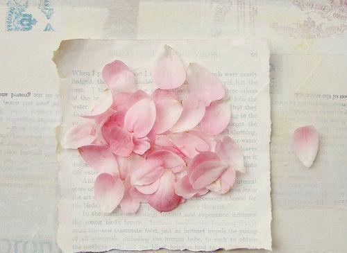 萧星河黎溪免费阅读 萧星河黎溪最新章节目录