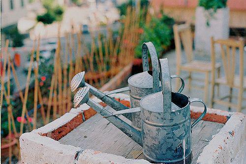 林凌傅辰曲情免费小说 林凌傅辰曲情在线阅读