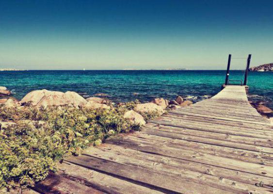 魏来秋博远扶元槐无弹窗 青梅竹马的未婚夫爱了我十年,订婚宴前夕他却告诉我魏来秋博远扶元槐全文免费阅读