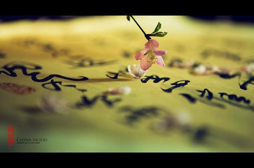 林晚晚许俊毅小说名字免费 校草与老师的暧昧章节阅读