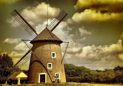 谢辞安夏落落姜欣彤大结局免费阅读 谢辞安夏落落姜欣彤全文小说