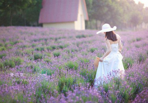 生日那天，老婆和竹马官宣了江雪苏城陆宴未删节小说全集阅读