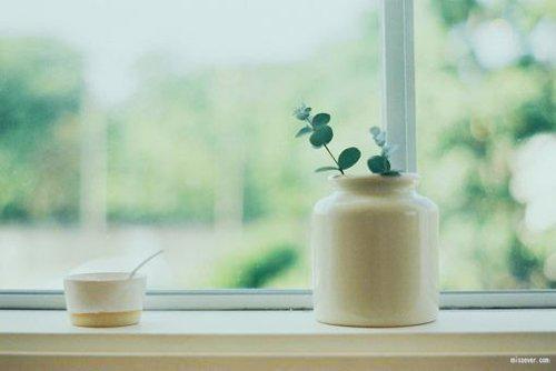 宋溪谢宇许若霍瞿全文阅读最新 宋溪谢宇许若霍瞿小说目录