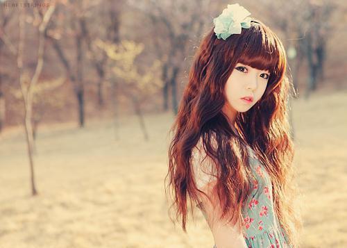 江明月陆绍庭免费阅读无弹窗 江明月陆绍庭最新章节