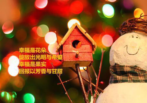 努力过后，却依旧是他的过客李书渝顾承安第16章 免费阅读