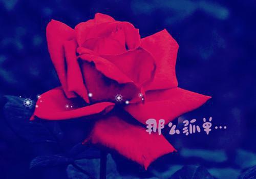 二婚嫁京圈大佬，渣前夫疯了全文免费阅读 商少峥花昭目录