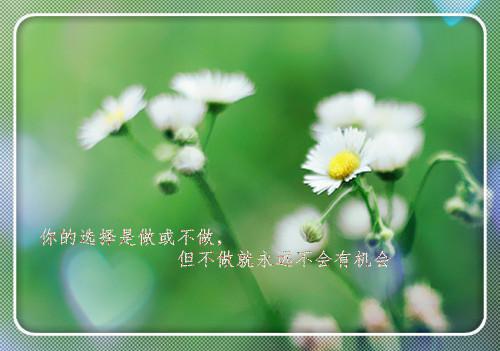 主角是黎昭黎玥的小说免费阅读全文大结局