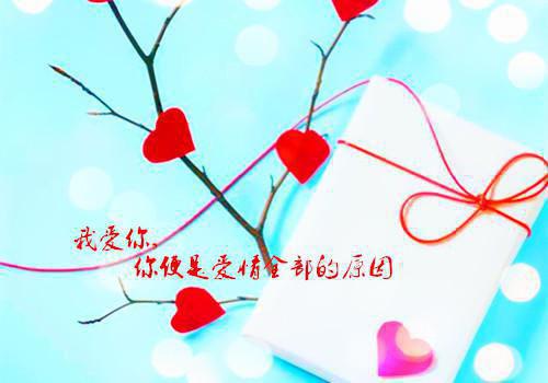 《张龙常薇张恒小说》无弹窗全文免费阅读