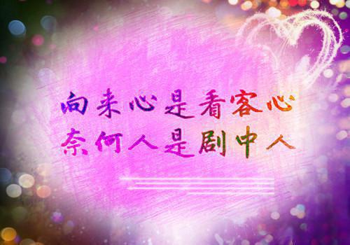 许岁欢纪妄小说章节免费阅读 许岁欢纪妄无弹窗