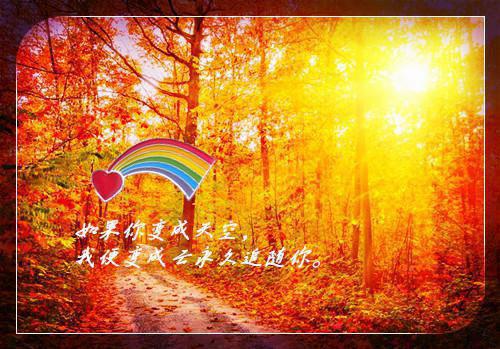 陈慕知池恩陆彦小说目录 陈慕知池恩陆彦完整免费版阅读