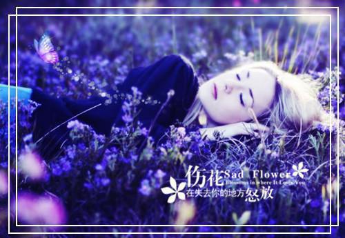 顾总家的金丝雀出逃了！(结局) 江初顾云霄白湘免费阅读全文