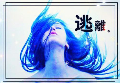 鹿南星沈安沈飞小说在线阅读 鹿南星沈安沈飞最新章节目录