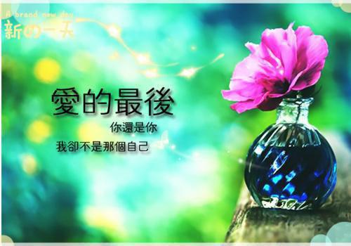 林爽金兰心诗雨小说名字免费 和闺蜜一起嫁入豪门后，她和婆婆设计我背上十亿债务章节阅读