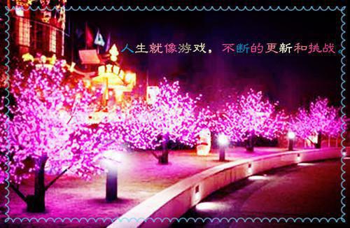 （简默言温庭琛）温庭琛简默言全文免费阅读无弹窗大结局_温庭琛简默言最新章节列表（简默言温庭琛）