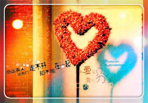 陈诚茜茜完整版 陈诚茜茜小说全文在线阅读