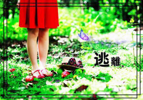 温祈宁贺璟川小说章节免费阅读 温祈宁贺璟川无弹窗