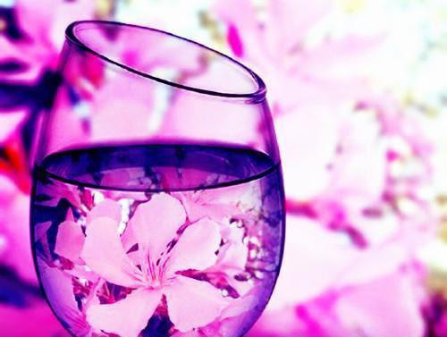 沈念之完整版 沈念之小说全文在线阅读