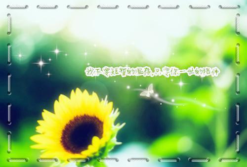 主角叫肖朗秦悠的小说 悠悠盛夏全文目录