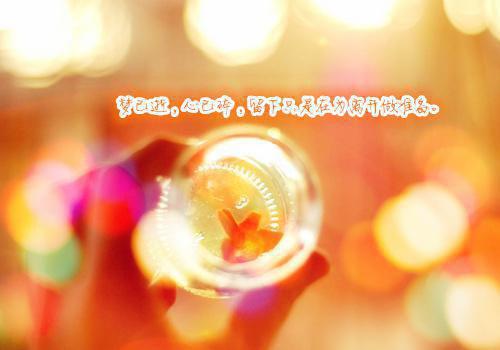 《夏若星傅聿完整小说》夏若星傅聿完结版全章节阅读