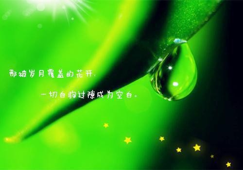 主角是秦婉白晚意的小说免费阅读全文大结局