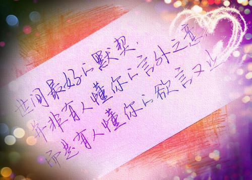 舅舅免费大结局 夺命导盲犬完结小说