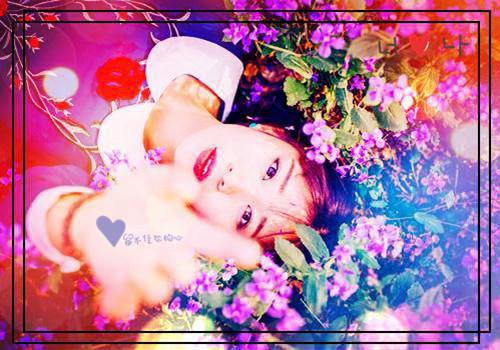 恋爱告知书免费阅读宋知珩姜澄宛 恋爱告知书佚名小说