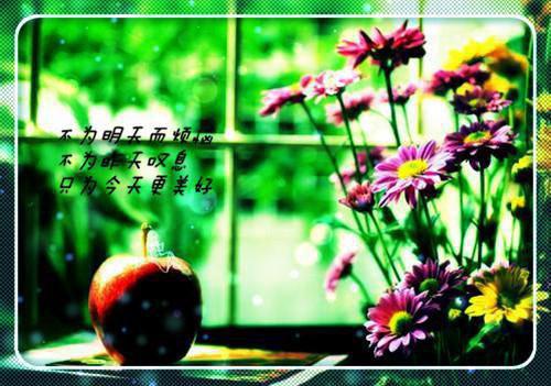 王大哥免费全文 王大哥小说在线阅读