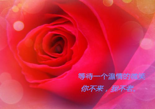 庆明思铭沧澜小说叫什么名字 庆明思铭沧澜全文免费阅读