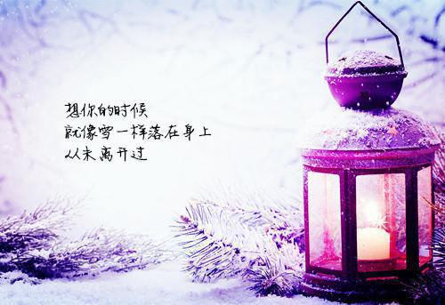 宋清欢沈启山免费小说 宋清欢沈启山完结版在线阅读