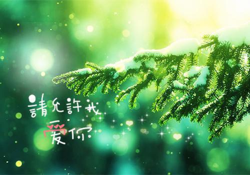 宋一川乔知茵小说阅读 宋一川乔知茵全文免费无广告