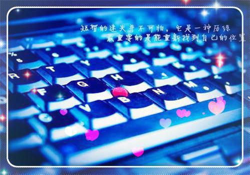 (抖音小说)张金豪免费阅读