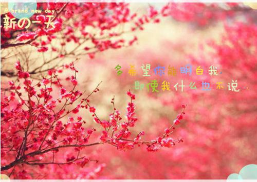 嫡女重生，暴扣绿茶妹和老太监无弹窗阅读 林玉姝张德忠苏青青小说