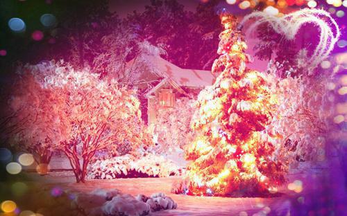 重活一世，我还有更重要的事情去做小说章节在线阅读 林暮洲穆言希全文无广告阅读