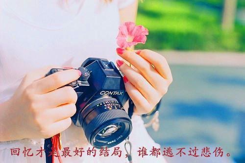 全文浏览高分完本甜宠！包养金丝雀，狗粮满天飞 作品（萧舒婉于清欢）_高分完本甜宠！包养金丝雀，狗粮满天飞 作品（萧舒婉于清欢）全文结局