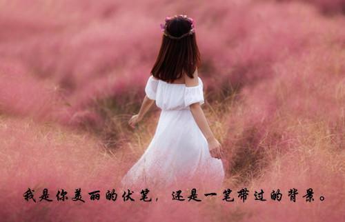 黎守拙郑地史郑晓涵免费阅读小说 黎守拙郑地史郑晓涵