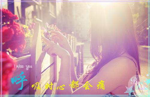 贺岁岁沈泽胤免费全本小说 贺岁岁沈泽胤章节目录