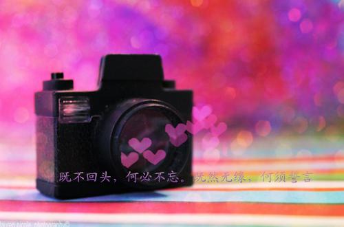 赵华英暮暮结局是什么 赵华英暮暮免费阅读全文