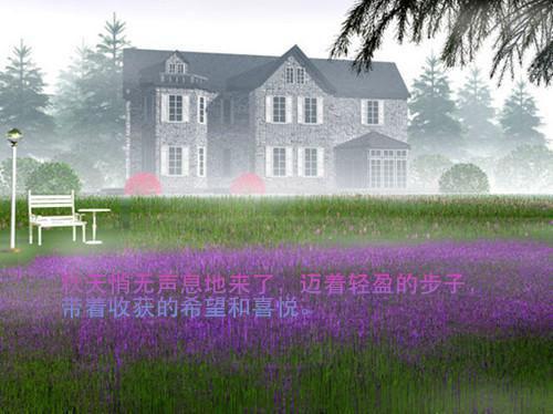 乔明薇萧陌寒什么小说 乔明薇萧陌寒全文免费阅读