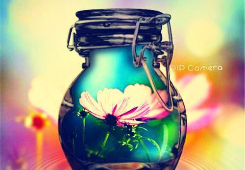 综武大明:上朝第一天,血洗河山!朱常洛张三丰李诗仙完整版全文阅读