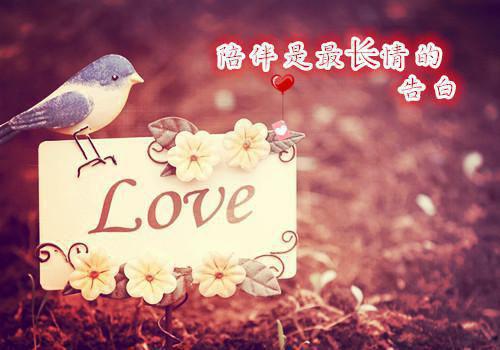 沈欢温时年温俞小说 沈欢温时年温俞全文免费阅读